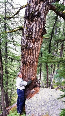 Image of Verna with Pine tree